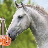 Himalayan Natural Salt Cylinder
