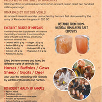 Himalayan Natural Salt Cylinder