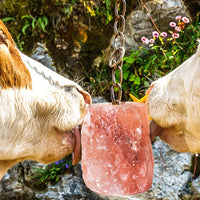 Himalayan Natural Salt Rough Cylinder